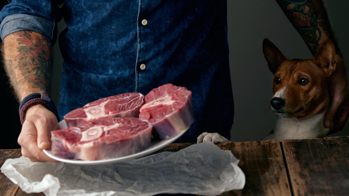 Мужчина держит стейки в тарелке, на заднем плане собака
