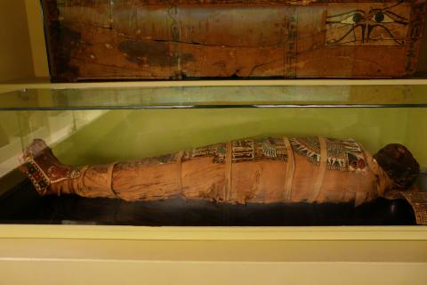 2500-летние татуировки сибирской мумии: сенсационное открытие археологов