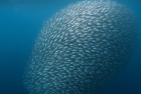 Как формировались моря и океаны: история мировой водной системы