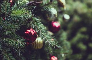 В Пензенской области на Соборной площади установят новогоднюю елку стоимостью 130 000 рублей