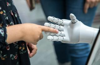 В Китае разработали синтетический аналог болевых нервов для роботов — BFM Business