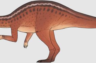 Крошечные кости взорвали науку: Испания нашла динозавра, который закрывает 70 миллионов лет пустоты