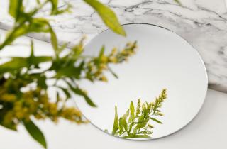 Зеркало у окна удваивает освещение и улучшает рост домашних растений зимой