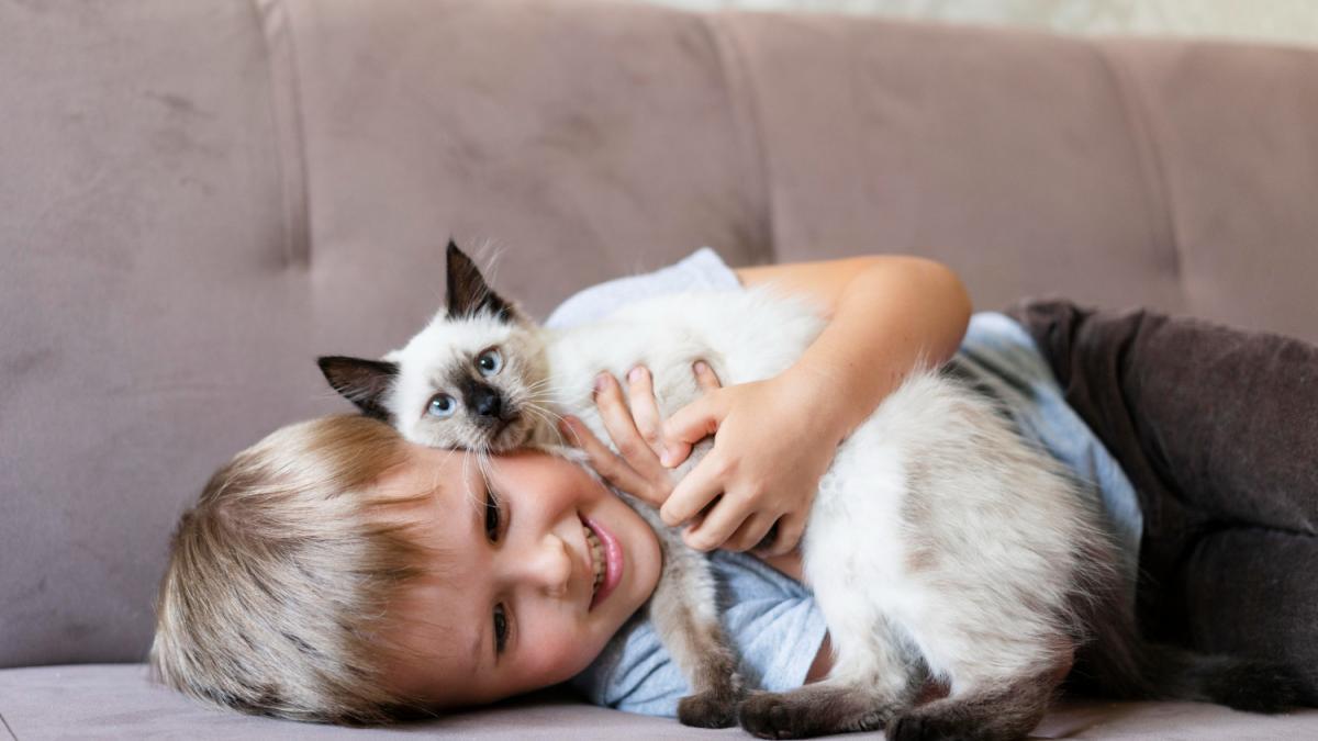 Кошка и ребёнок Кошка и ребёнок