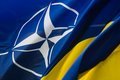 Украина не хочет ждать Украина не хочет ждать