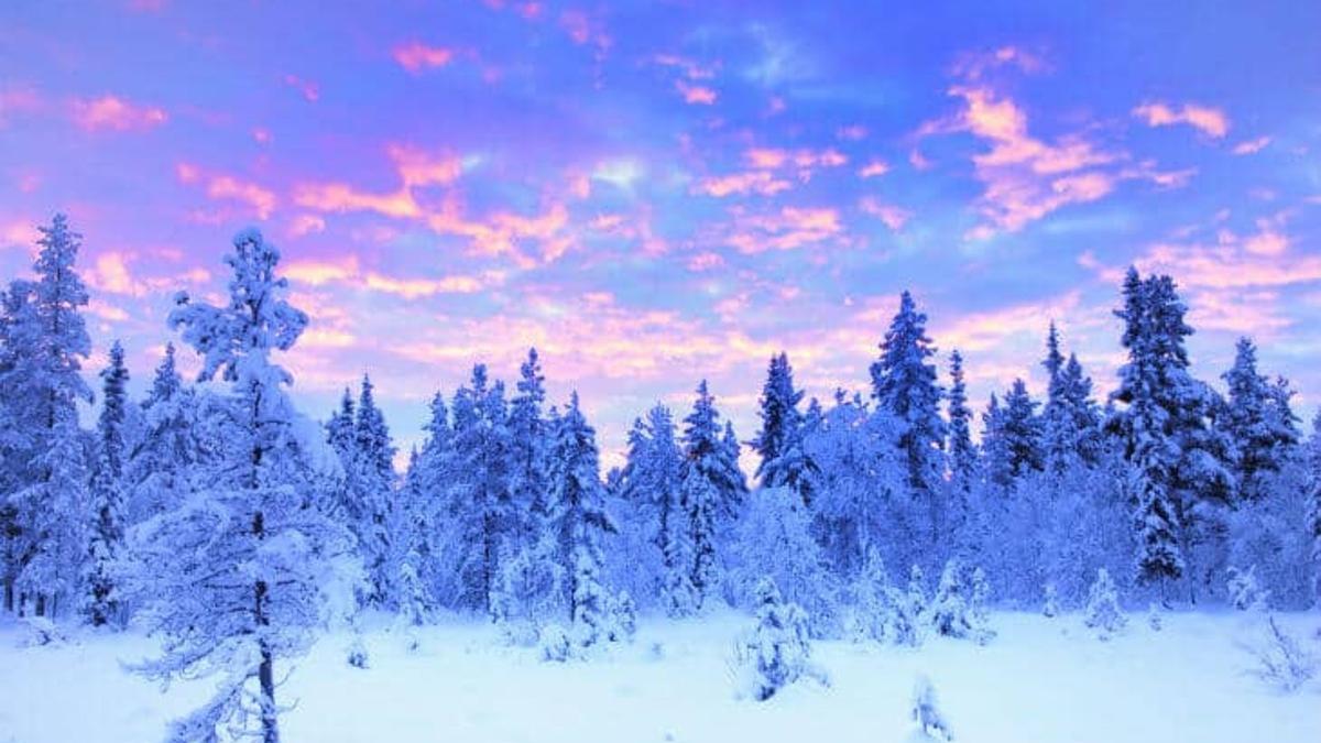 Снег Снег