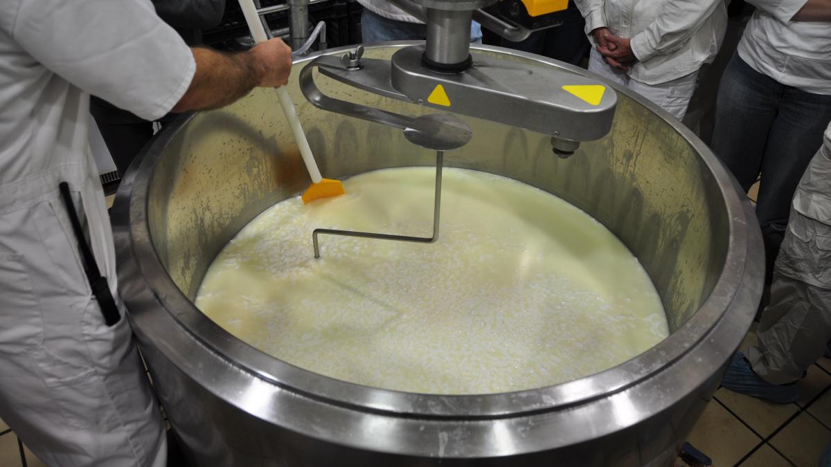 Separating the curd and whey