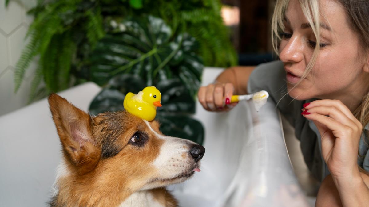 Девушка моет собаку и чистит зубы
