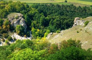 Строительство курганов Поверти-Пойнт в Луизиане велось без принуждения — Баумгартель