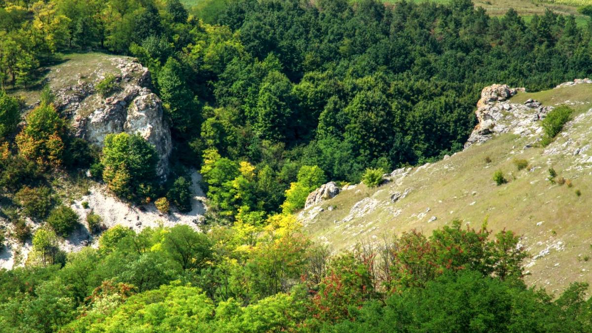 Природа в Молдавии