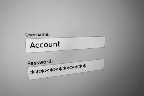 Треть россиян знают пароли от аккаунтов родственников как меру безопасности — Edna