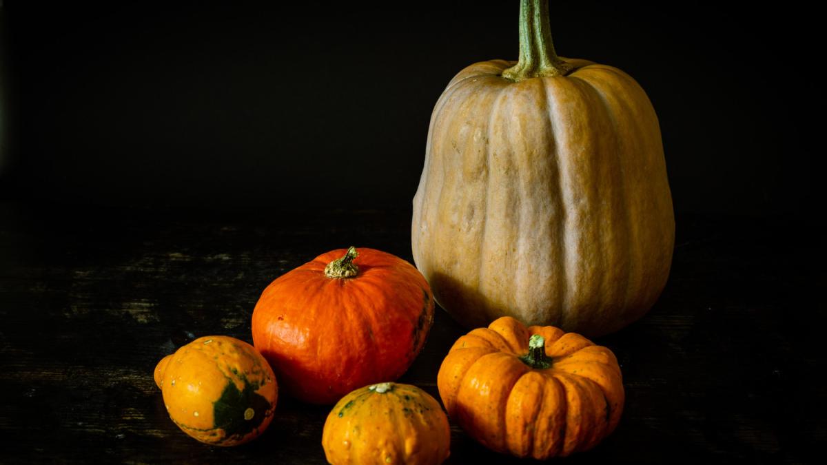 Тыква Тыква