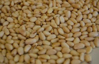 Добавила в свёклу орешки — и получила блюдо, достойное ресторана