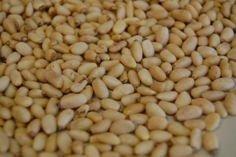 Добавила в свёклу орешки — и получила блюдо, достойное ресторана