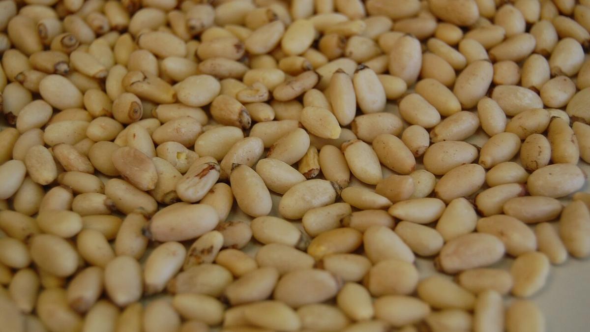 Кедровые орехи