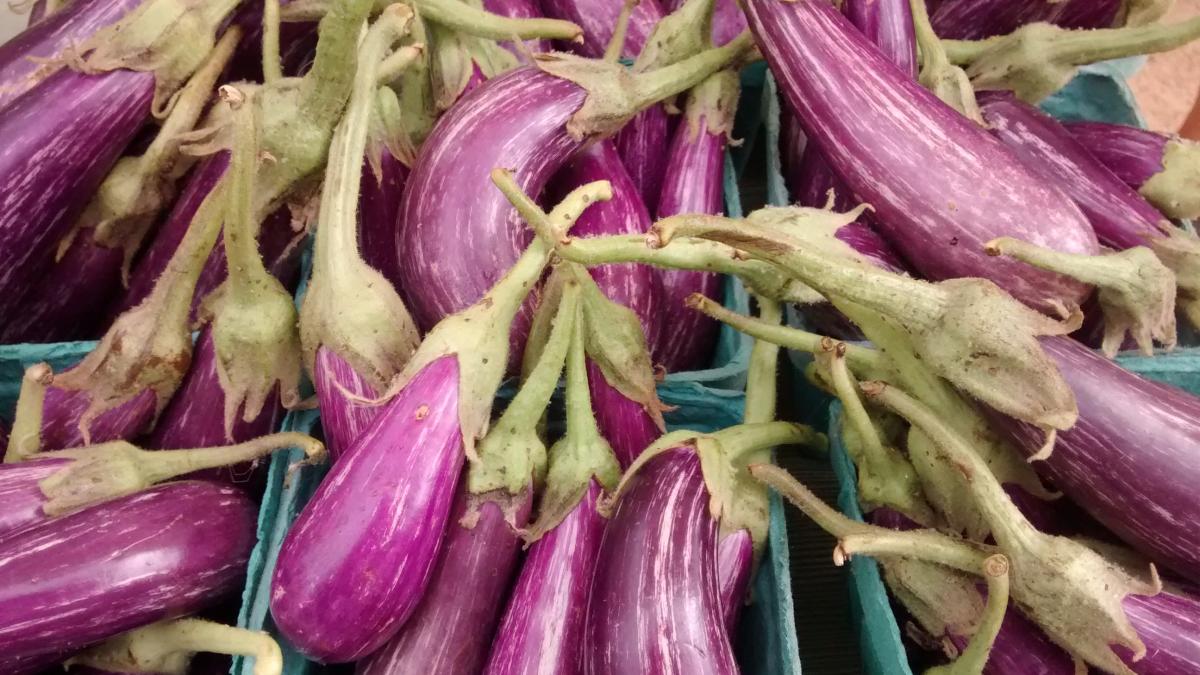Fairy Tale Eggplant Fairy Tale Eggplant