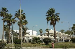 Аль-Ула, Эр-Рияд и курорты Красного моря названы ключевыми направлениями отдыха в Саудовской Аравии — турагенты