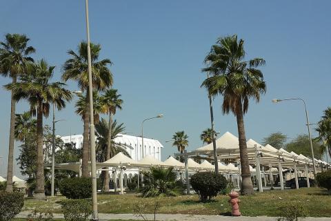 Аль-Ула, Эр-Рияд и курорты Красного моря названы ключевыми направлениями отдыха в Саудовской Аравии — турагенты