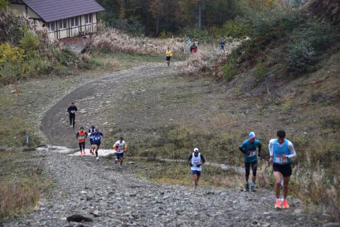 Горные тренировки делают бегунов экономнее на кислород — тренер Эндрю Кастор