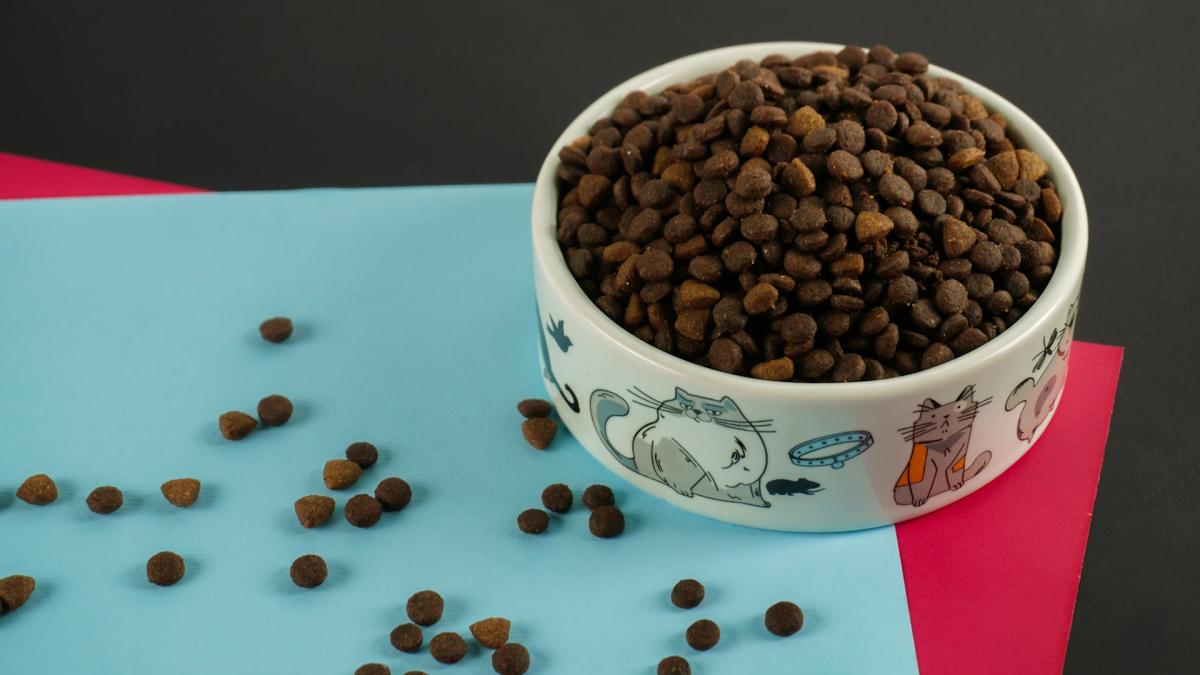 Корм для животных в миске (сухой корм)