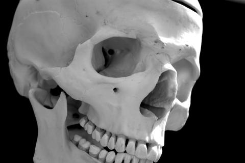 Генетический анализ урн из Килади: какими были мужчины 1700 лет назад