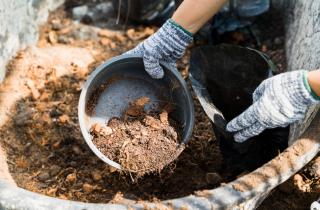 Доломитовая мука эффективно снижает кислотность почвы — агроном