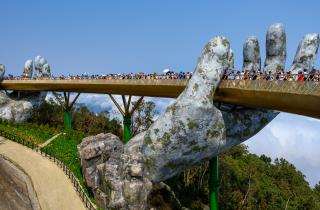 Ехал во Вьетнам за солнцем, а встретил токсичных “жуков-пожарных” — теперь лечу ожоги