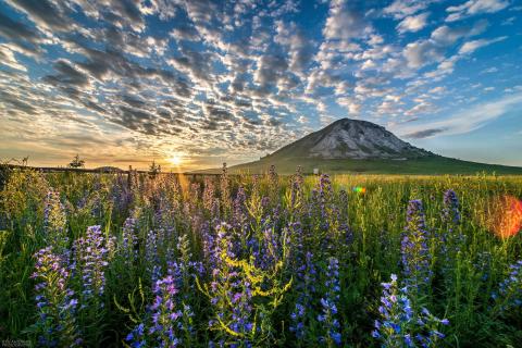 В Башкирии отремонтировали 22 км дорог к горнолыжным курортам — РИАН