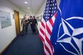 Зеленского просят не требовать от НАТО Зеленского просят не требовать от НАТО