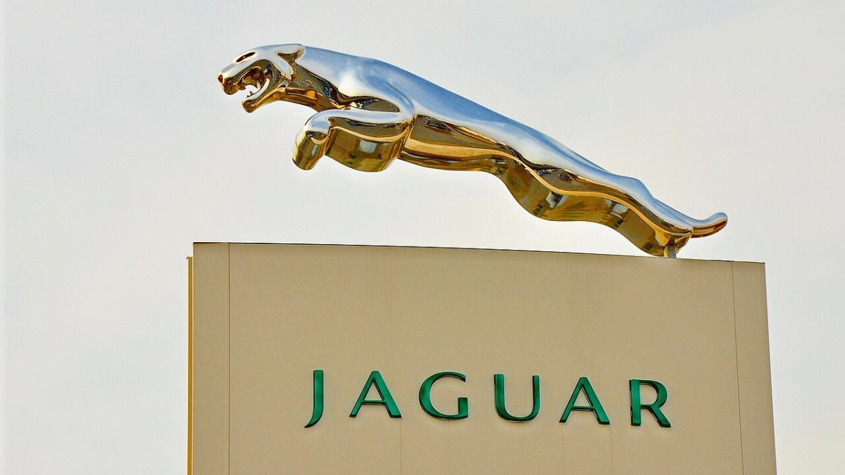 Jaguar Jaguar