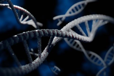 Древние геномы Аргентины показывают отсутствие смешения на протяжении 8500 лет — Норес