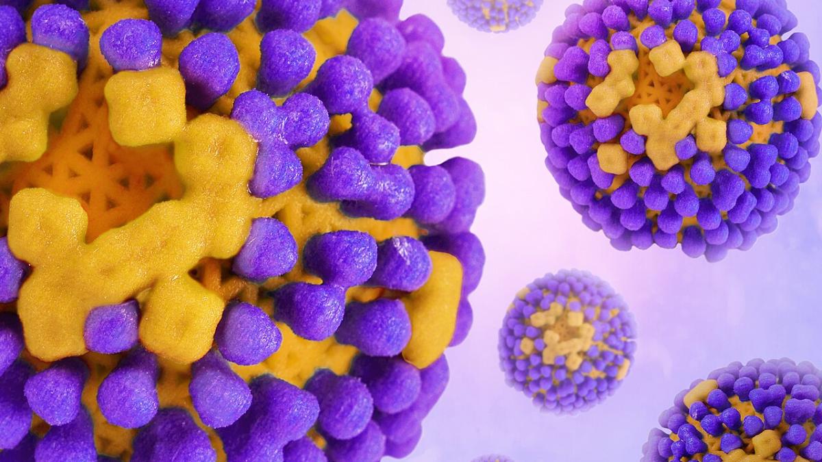 вирус гриппа