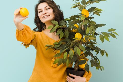 Лорена Баст Столлер: апельсин из косточки растёт медленно