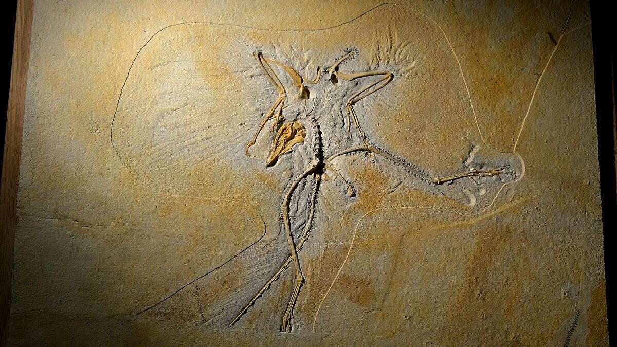 Археоптерикс