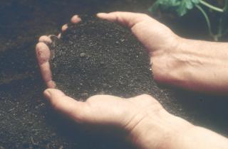 Предложен метод контроля таяния мерзлых грунтов — Институт нефтегазовой геологии и геофизики