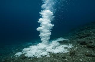 Липидные биомаркеры подтвердили жизнь микробов в щелочной среде океана — Университет Бремена