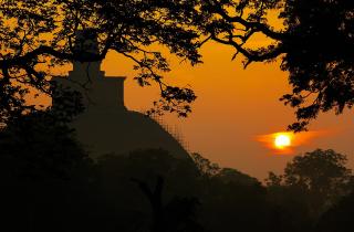 В Шри-Ланке снова разрешили получать визу по прибытии — новые правила въезда для россиян