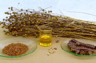 Льняное семя укрепляет организм сочетанием лигнанов клетчатки и растительных Омега-три – Андрей Саврасов