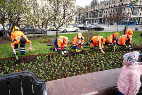 Власти Новосибирской области активно преображают городские пространства по нацпроекту