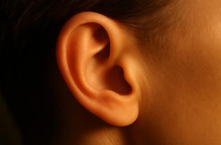 Уровень IQ влияет на распознавание речи в шумной обстановке — Лау