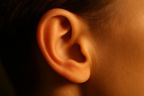 Уровень IQ влияет на распознавание речи в шумной обстановке — Лау