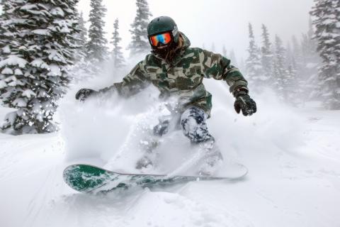 Волк погнался за сноубордистом на горнолыжной трассе Домбая — очевидцы