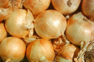 Проросший лук пугает многих — но всё решает одна деталь