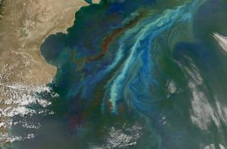 Исландия признала возможный крах Атлантического круговорота угрозой — TCD