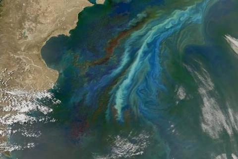 Исландия признала возможный крах Атлантического круговорота угрозой — TCD