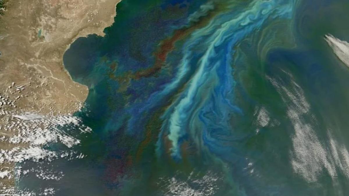 Гольфстрим